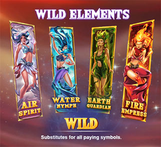 สัญลักษณ์ Wild Elements