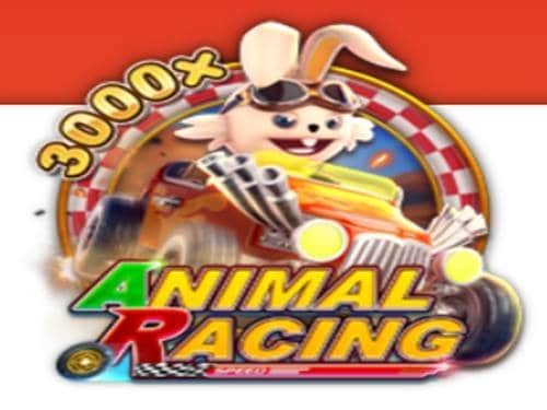 เกมสล็อตออนไลน์ Animal Racing สล็อตแข่งรถสัตว์